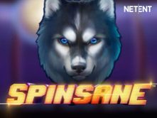 Spinsane